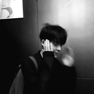 Furry绘画笔刷推荐福瑞群